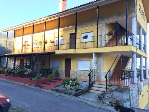 a yellow building with a dog standing in front of it at Mirador de Miranda, Apartamentos Rural & Spa Inc in Cutiellos