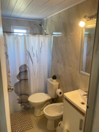 a bathroom with a toilet and a shower curtain at Conaguademar in La Paloma