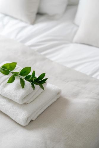 a white towel with a plant on top of a bed at Modern Harmony in Kolašin