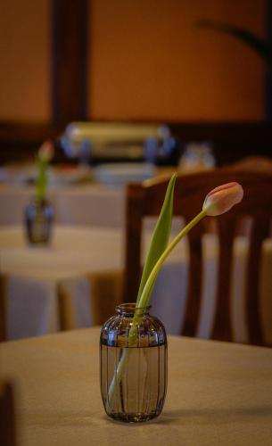a flower in a glass vase on a table at Bark Inn - Bed and Breakfast in Braşov