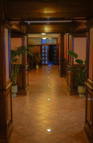 an empty hallway with potted plants in a building at Bark Inn - Bed and Breakfast in Braşov