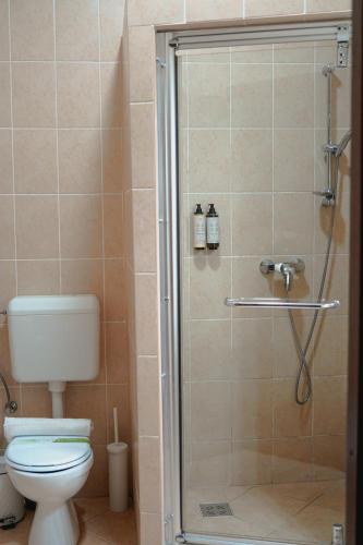 a bathroom with a shower with a toilet at Bark Inn - Bed and Breakfast in Braşov
