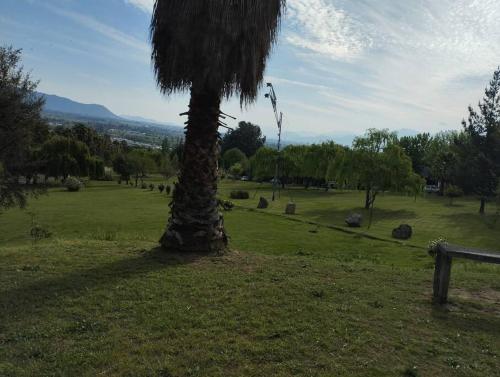 a palm tree in a field with a bench at Casa en condominio machali, privilegiada in La Viñilla