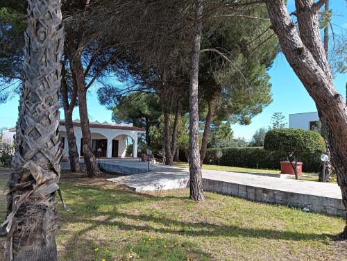 a group of trees in front of a house at Villa la Pineta in Arenella