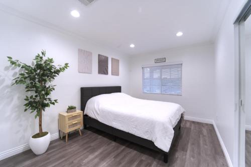 Stylish 3BR, 2BA Home , Sleeps 8 - King Bed, Firepit, Near Universal, SoFi photo 34