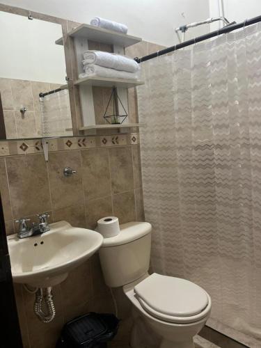 a bathroom with a white toilet and a sink at donde la abuela Josefa in Quimbaya
