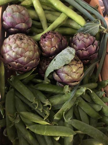 Φαγητό σε αυτό το κατάλυμα σε φάρμα ή κάπου εκεί κοντά