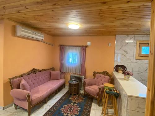 Gallery image of Serbesler Botanik, No 4 Wooden House in Sakarya
