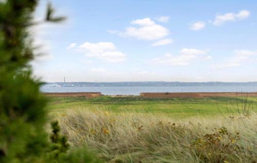 a field of grass with the ocean in the background at 3 Bedroom Beautiful Home In Ringkøbing in Ringkøbing