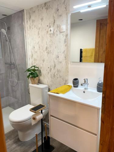une salle de bain avec toilettes, lavabo et miroir dans l'établissement Cosy appart en plein centre - 2 guests, à Colmar
