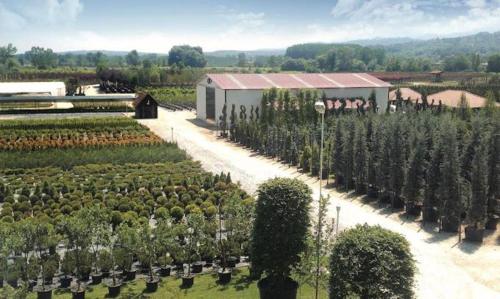 Gallery image of Serbesler Botanik, No 4 Wooden House in Sakarya