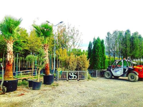 Gallery image of Serbesler Botanik, No 4 Wooden House in Sakarya
