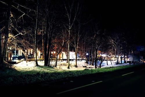 a park at night with snow on the ground and trees at MolinHotels102-アクティビティを満喫できる札幌定山渓 天然温泉付 - W-beds2&S-beds3 in Jozankei