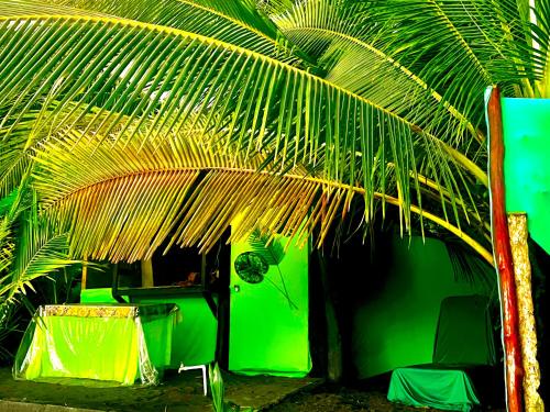 a green room with a palm tree and a chair at Beachfront Paradise in Manuel Antonio