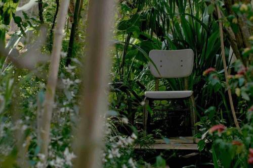 Zahrada ubytování Dreamer Cabin Tre house Dalat