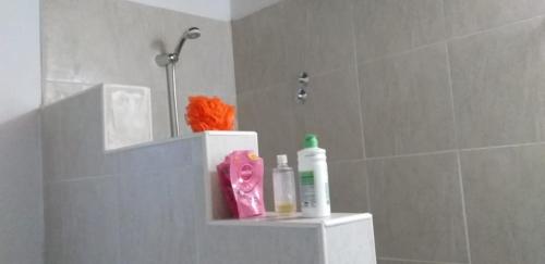 a bathroom with a shelf with toiletries on it at Rincón del Sol in Tandil