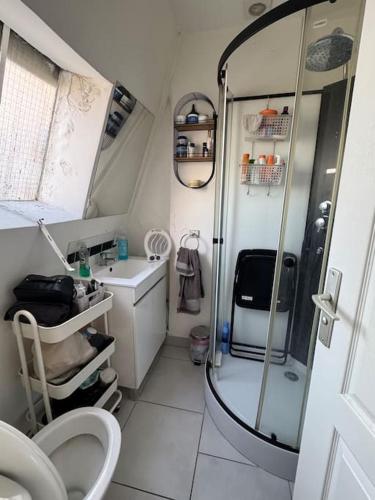 La petite salle de bains est pourvue d'une douche et d'un lavabo. dans l'établissement Appartement sous le toits de Paris, à Paris