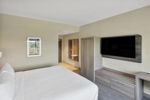 a bedroom with a bed and a flat screen tv at Holiday Inn Express & Suites Fort Walton Beach - Eglin Area by IHG in Fort Walton Beach
