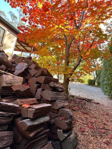 Φωτογραφία από το άλμπουμ του Valley of the Waters B&B σε Wentworth Falls