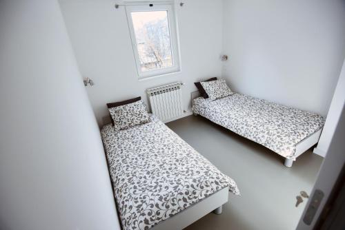 Habitación con 2 camas y ventana en Leo & Coco Apartments, en Zagreb