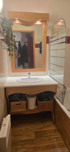 une salle de bain avec un lavabo et un miroir dans l'établissement Appartement au pied des pistes et du park nordique, à Chamrousse
