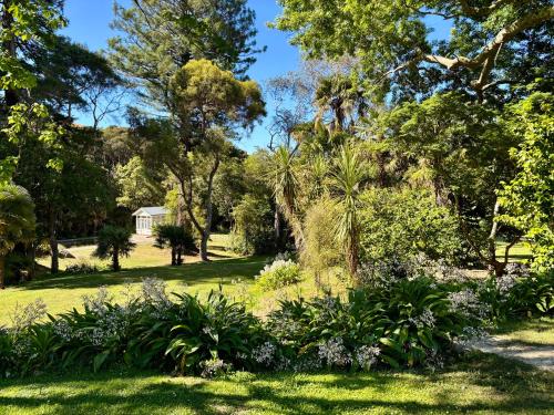 a garden with palm trees and a house in the background at The Venus room at Glendower Homestead in Greytown