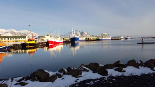 a group of boats are docked in a harbor at Lónið Apartments in Höfn