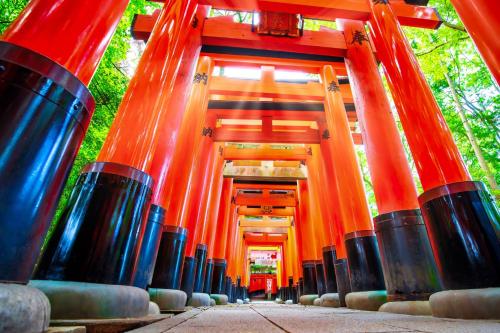 a row of orange barriers in a tunnel at The CATAN 伏見稲荷 in Kyoto