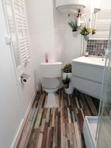 une salle de bain avec toilettes et lavabo dans l'établissement Studio bord de mer plage Barcares Pyrénées O, au Barcarès