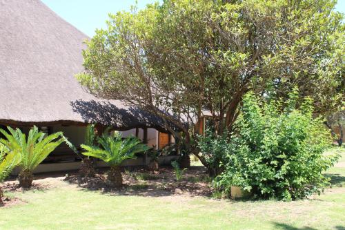 a house with a thatched roof and some trees and bushes at Honey Lodge in Klipdrift