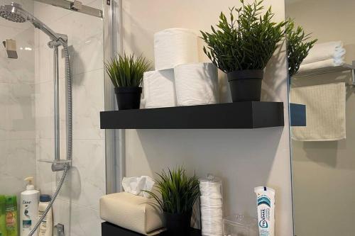 a bathroom with a shelf with toilet paper and plants at Modern Spacious 1BR minutes away from Main St in Vancouver