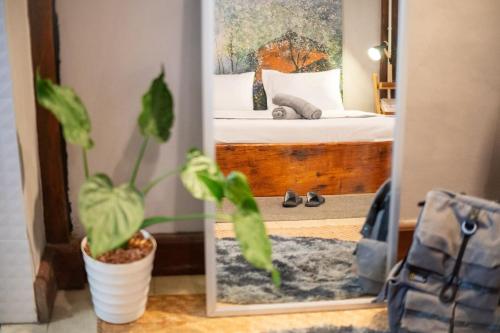 a bedroom with a mirror and a potted plant at Hug Bolaven Homestay and Camping in Ban Nongpèn
