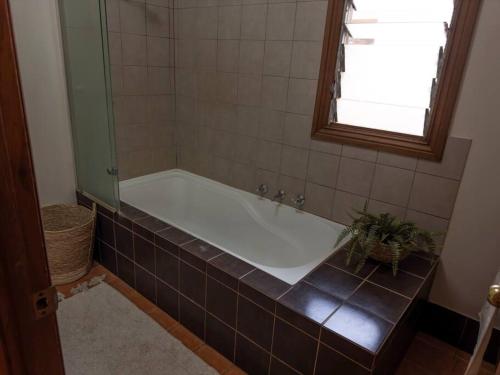 a bath tub in a bathroom with a window at Guwarri Bayside Retreat in Broome