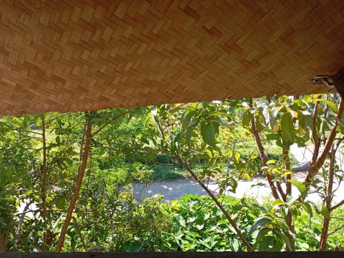 a view from under a roof of a tree at Farmer house on Beverley hill Pai in Pai