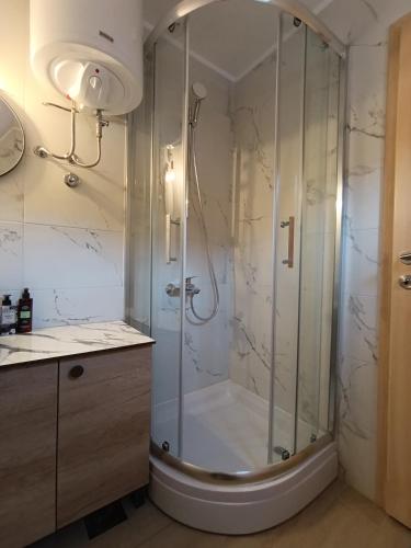a shower with a glass door in a bathroom at Planinska kuća Stašević in Mitrovac