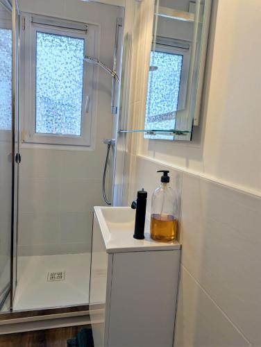 a bathroom with a shower and a bottle of oil on a counter at Studio Cosy, entre Abers & Plages, proche du GR34 in Lannilis