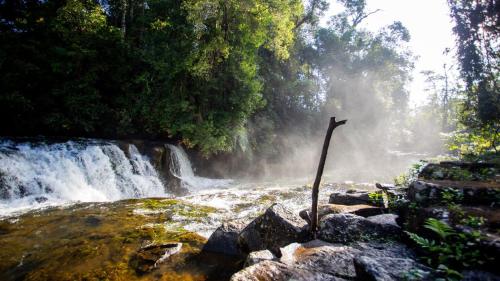 a waterfall with a stick in front of a river at Hug Bolaven Homestay and Camping in Ban Nongpèn