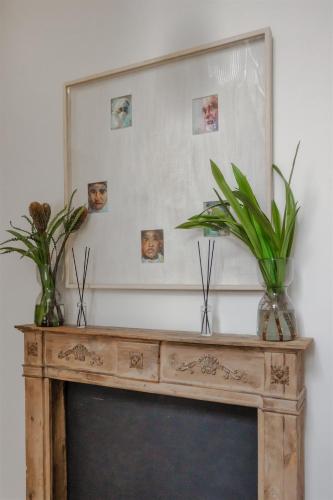 a mirror above a television with two plants on top at Anvy Stylish Suites Ioannina in Ioannina