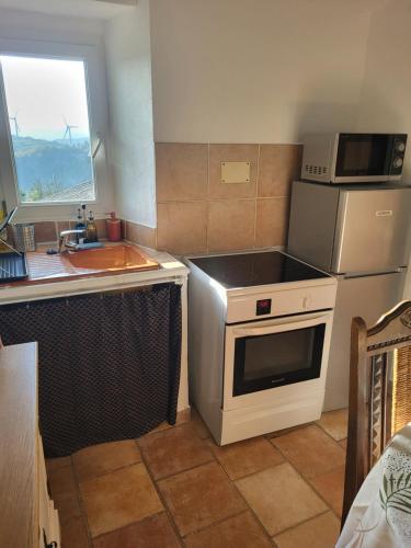 une cuisine avec une cuisinière, un évier et un micro-ondes dans l'établissement Gîte à la ferme 