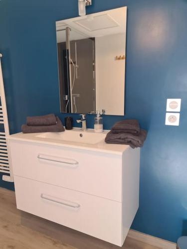une salle de bain avec un lavabo blanc et un miroir dans l'établissement Appartement À deux pas de tout, à Issoire