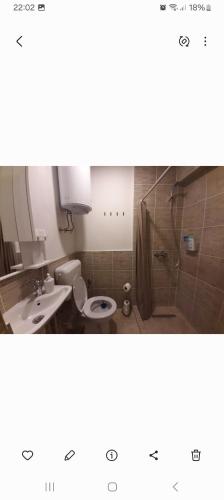 a bathroom with a toilet and a sink and a shower at Guesthouse Hill in Sarajevo