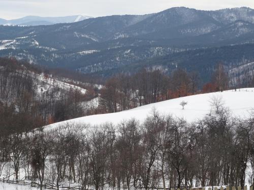 a snow covered hill with trees and mountains in the background at Holiday Home Captain's Village in Šljivovica