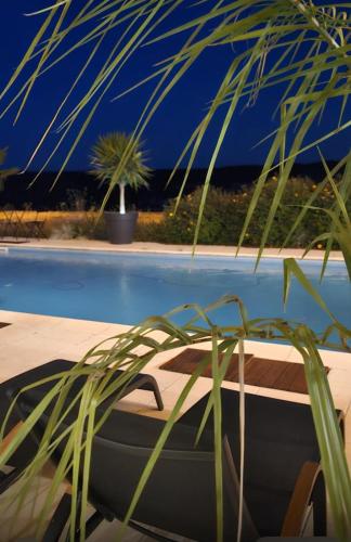 a plant sitting next to a bathtub next to a pool at Arts et Millésimes in Essoyes