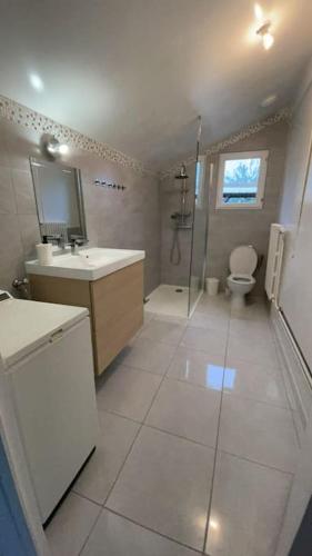une salle de bain avec une douche, des toilettes et un lavabo dans l'établissement Maison 4 chambres avec jardin, à Châlette-sur-Loing