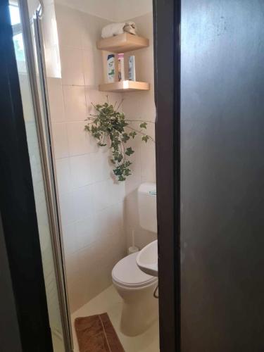 a bathroom with a toilet and a plant in it at Gránás paradise in Gánt