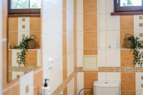 a bathroom with a toilet and two plants on the wall at Penzion Mountain in Čeladná