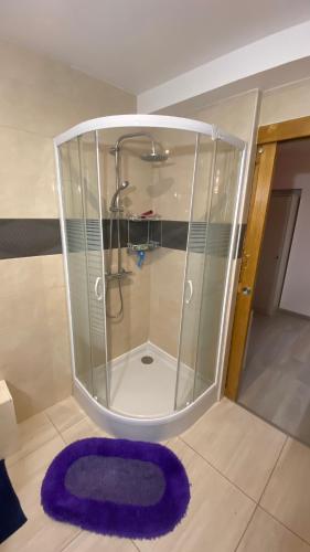 une douche dans une enceinte en verre avec un tapis violet dans l'établissement La Belle Etoile, à Nançay