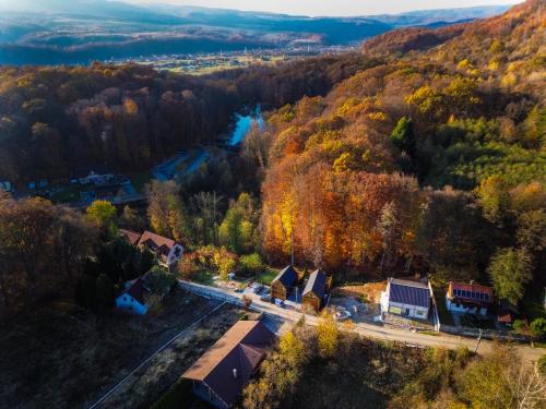 an aerial view of a house in a forest at Golden Wood in Sovata