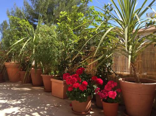 Les Terrasses D'Aix