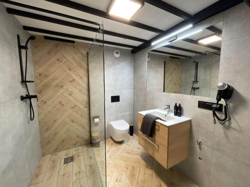 a bathroom with a toilet and a sink and a shower at Pod Błękitnymi Podkowami in Wrocław